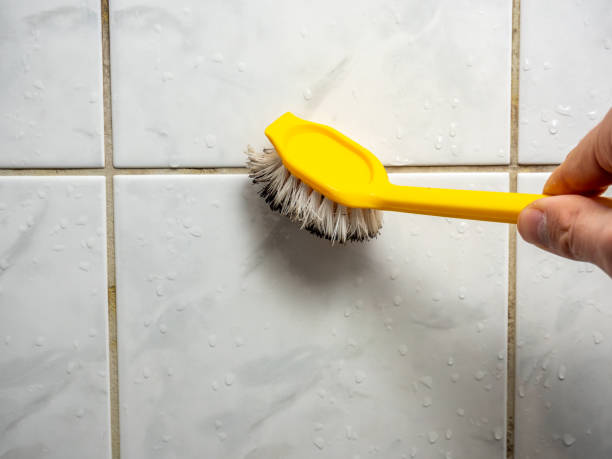Best Residential Mold Remediation in Minster, OH
