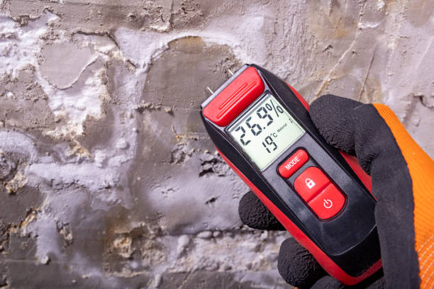 Best Mold Testing and Inspection Services in Minster, OH